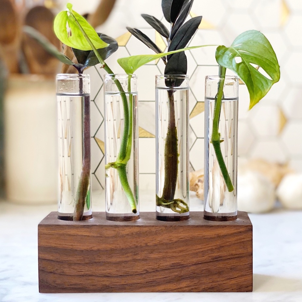 Farmhouse Bud Vase or Propagation Station Solid Walnut Natural Finish Glass Tube